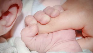 Pixabay / Referencial