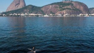 Antonio Lacerda - EFE