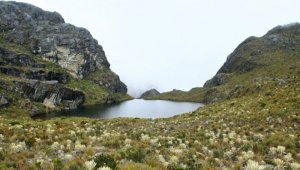 Archivo / La Opinión