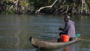 Se han delimitado unas zonas exclusivas para la pesca artesanal con el fin de controlar y administrar los recursos pesqueros marinos que se pueden aprovechar. Foto: Samara Díaz.