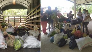 Los productores de esta zona rural donaron a los funcionarios alimentos que cultivan, como plátano, papa, yuca, carnes, pescado, huevos, queso, entre otros, para los más necesitados en la pandemia. Cortesía