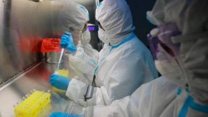 En varios países se realizan investigaciones para obtener una vacuna que pueda prevenir la infección por el coronavirus. Colprensa.