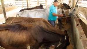 Archivo / La Opinión