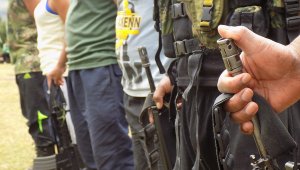 En 1.200 misiones de monitoreo, la MAPP/OEA constató ataques y presencia de grupos armados ilegales. Colprensa.