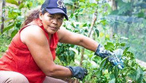 El convenio de la UE con el Gobierno también apoyará la consolidación de los Antiguos Espacios Territoriales de Capacitación y Reincorporación (ETCR). Colprensa