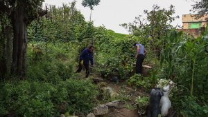 Huertas Comunitarias y caseras una alternativa para mitigar la emergencia alimentaria generada por la pandemia del COVID-19. Colprensa