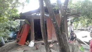 Se estima tiene Cumaribo tiene unos 8.000 predios. Colprensa