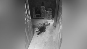 Según vecinos, esa noche se oyeron los gritos de la víctima. Cortesía