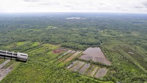Los hechos se registraron en La Guayacana, sector rural de Tumaco, Nariño. Colprensa
