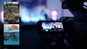 En la sección de cortometrajes latinoamericanos hay 15 producciones de las cuales cinco son colombianas y una es coproducción con México. Colprensa