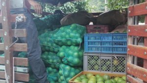 Los campesinos de la zona del Catatumbo venden los productos agrícolas en las plataformas virtuales. Cortesía