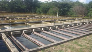 Acueducto Metropolitano. Archivo La Opinión