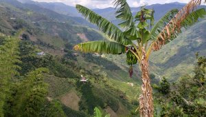 Con el apoyo de la Agencia de Desarrollo Rural en el proceso de formulación, fue aprobado el Plan Departamental de Extensión Agropecuaria (PDEA). Archivo