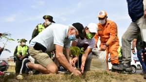 El alcalde Jairo Yáñez lidera la iniciativa que propone sembrar 110.000 árboles en Cúcuta, de especies nativas como el mango, cañaguates, cujíes, entre otras. Cortesía