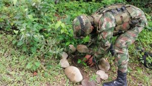 La reforestación se desarrolló en Sardinata y Tibú. Ejército Nacional