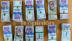 La mujer fue detenida por enriquecimiento ilícito Cortesía