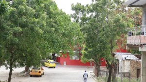 Líderes afirman que, en las horas de la tarde, jóvenes se reúnen a consumir alucinógenos con total libertad en el barrio. Juan Pablo Cohen/ La Opinión