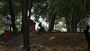 En el terreno boscoso y solitario que está junto al Colija, se reúnen a diario los consumidores de droga y ‘jíbaros’ que llegan allí para distribuirla. Juan Pablo Cohen / La Opinión