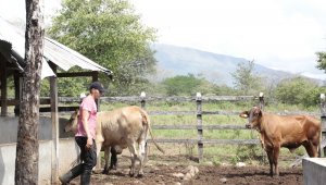 : La jornada se realizó mediante el programa Gestar, en el marco de un proyecto en el que coopera la Universidad Francisco de Paula Santander, sede Ocaña. Cortesía