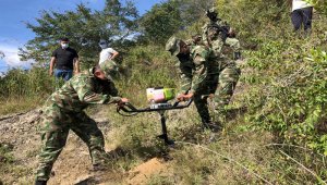 La UTA coordina planes para reforestar los cerros tutelares de la ciudad. Cortesía
