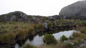 Archivo / La Opinión