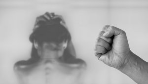 egún el Observatorio Feminicidios Colombia, tan solo en el mes de septiembre 2020 se registraron 86 feminicidios y 25 feminicidios en grado de tentativa. Pixabay reference