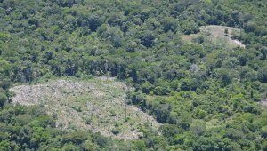 Fuerza de Tarea Vulcano del Ejército de Colombia.