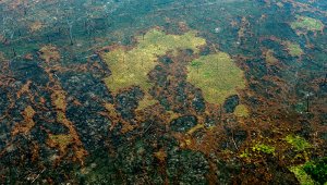 Áreas quemadas de la selva amazónica, cerca de Boca do Acre, estado de Amazonas, Brasil. AFP