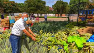 El secretario de Agricultura de Norte de Santander, Wilmar Arévalo, dijo que en 2021 el gobierno departamental seguirá apoyando el campo. Foto cortesía para La Opinión