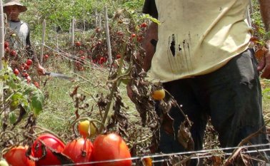 Foto archivo / La Opinión