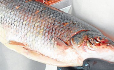 El incremento en el consumo del producto también implica mayor cuidado por parte de los compradores. Foto Colprensa