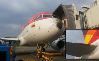 (Foto cortesía Yury Ruiz)