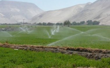El gobierno adecuará 100 mil hectáreas de tierras que no cuentan con sistemas de riego. Foto archivo / La Opinión