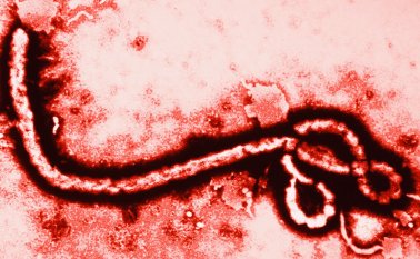 Foto tomada de Internet