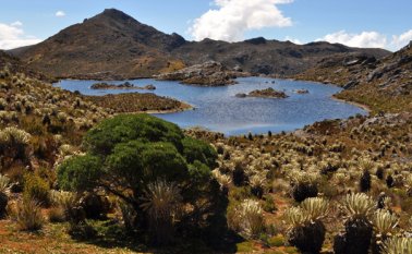Paisajes de ensueño hay en Santurbán, los mismos donde nace el agua para dos departamentos. Archivo