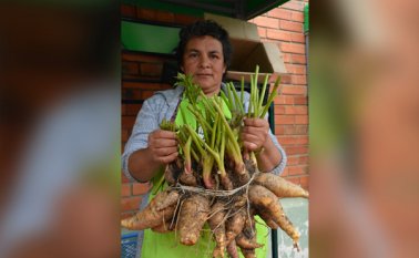 Productos de buena calidad son comercializados en Pamplonita. Cortesía