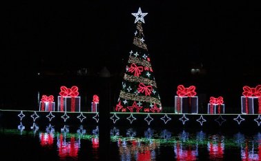 El árbol sobre el río Sinú, en Montería, se ha convertido en la excusa perfecta para visitar la ciudad en Navidad y Año Nuevo. Colprensa