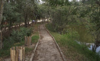 El jardín Botánico cuenta con amplias zonas verdes y un lago, que en épocas de sequía ha servido para el riego del lugar. Archivo