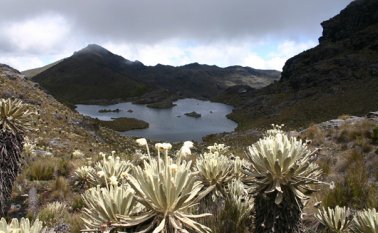 La protección de zonas estratégicas como el Páramo de Santurbán, será una de las metas de la Alianza Biocuenca.  Archivo