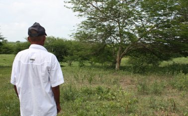 En los casos en los que los reclamantes de tierras no pueden acceder a un predio similar al despojado, y tampoco se llega a un acuerdo satisfactorio, se hace la entrega de la compensación monetaria. Cortesía