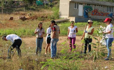 En Las Delicias, la asociación mujeres luchando por un Sueño tomaron la batuta a la hora de limpiar los predios aledaños y sembrar los árboles nativos. Cortesía