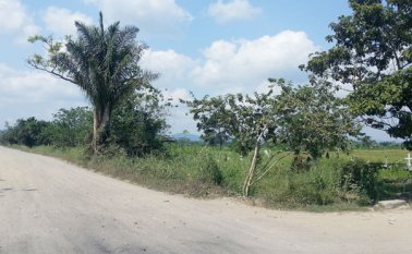 Banco de Arena. Archivo