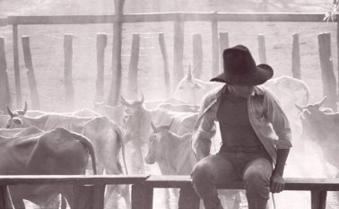 La muestra incluye fotos de Fernell Franco, Nereo López, Vicky Ospina y Fernando Urbina. Cortesía