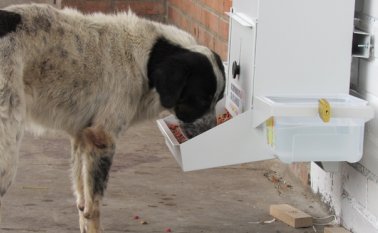 El primer comedor fue instalado en Cenabastos. Cortesía