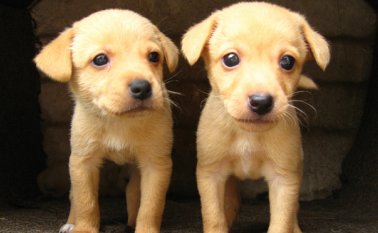 Foto flickr.com/ Sebastián Dario