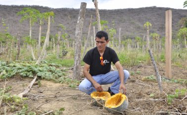 Cultivadores de Auyama empezaron a reportar pérdidas por la falta de agua en veredas de Cúcuta y San Cayetano. Edinsson Figueroa