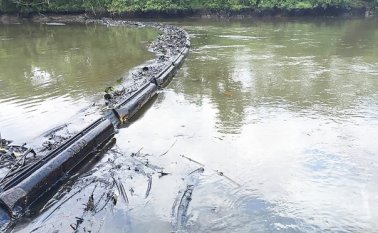 Los derrames de petróleo generados por los atentados de las Farc a la estructura petrolera, han ocasionado graves daños ambientales. Colprensa