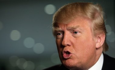 Donald Trump Internet