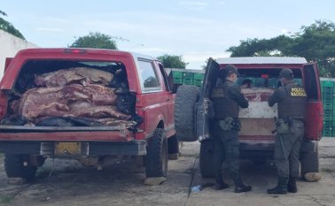 4.623 kilos, entre carne y vísceras, fueron incautados por la Policía en este procedimiento. Cortesía