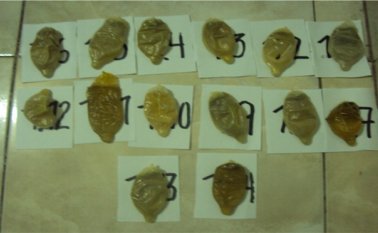 Así estaba camuflada la cocaína líquida. Colprensa